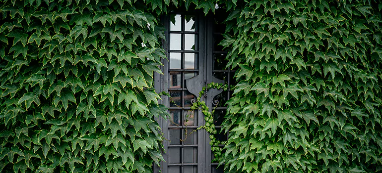 Garden Gate Repair in Key West, FL